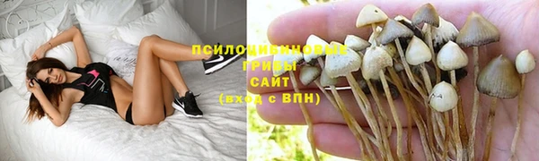 таблы Нея
